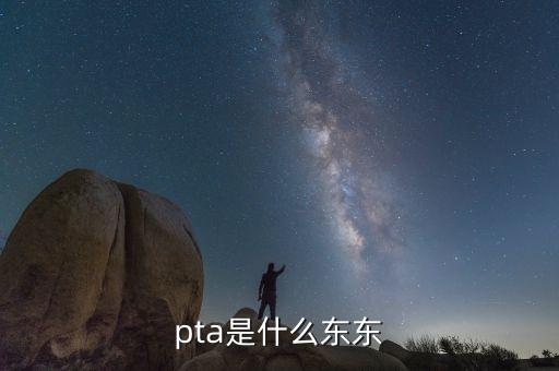 pta行業(yè)是什么，pta是什么東東