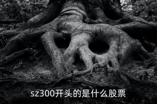 sz開頭的是什么股票，sz300開頭的是什么股票