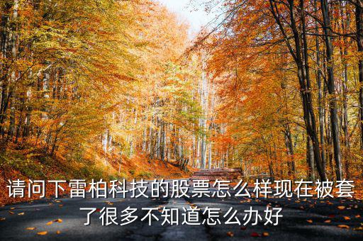 雷柏科技股票是什么板塊，600248是屬于什么板塊的股有潛力沒的能看高到多少價(jià)位