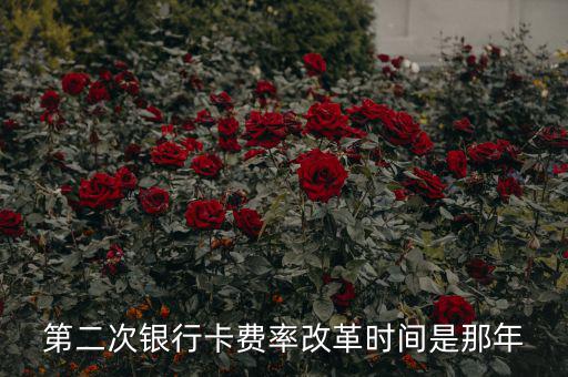 各銀行手續(xù)費(fèi)改革什么時(shí)候開始，第二次銀行卡費(fèi)率改革時(shí)間是那年