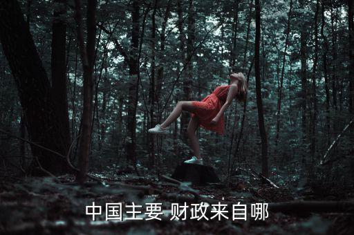 中國(guó)主要 財(cái)政來自哪