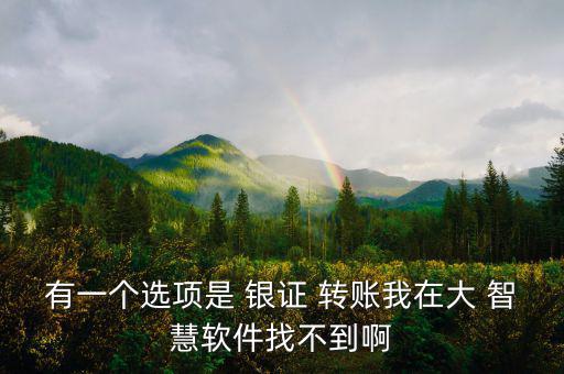 有一個選項是 銀證 轉賬我在大 智慧軟件找不到啊