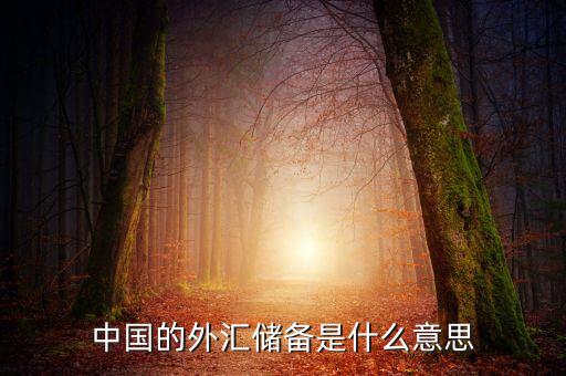 中國外匯儲(chǔ)備包括什么，我國外匯儲(chǔ)備