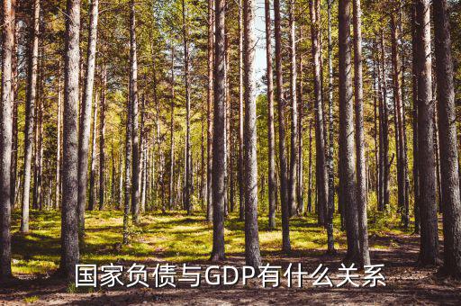 國(guó)家負(fù)債是什么，國(guó)債是什么比如說(shuō)中國(guó)有美國(guó)的國(guó)債100億是否可以理解為美國(guó)欠中