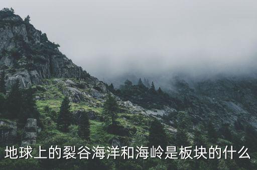 誠(chéng)益通屬于什么板塊，地球上的裂谷海洋和海嶺是板塊的什么