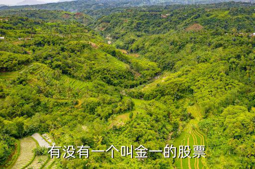 金一文化為什么停牌，金一文化什么時候復牌