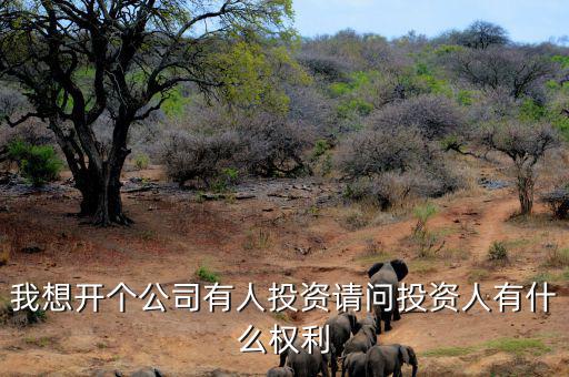 投資人最核心的優(yōu)先權(quán)是什么，投資人最關(guān)心哪三大核心問題