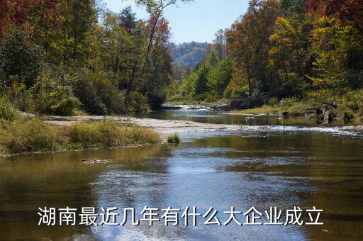 湘鐵集團什么時候成立子公司，母公司設(shè)立子公司