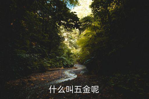 什么叫一市五金多套餐，知不知道招聘里說(shuō)的 五金齊全是指什么