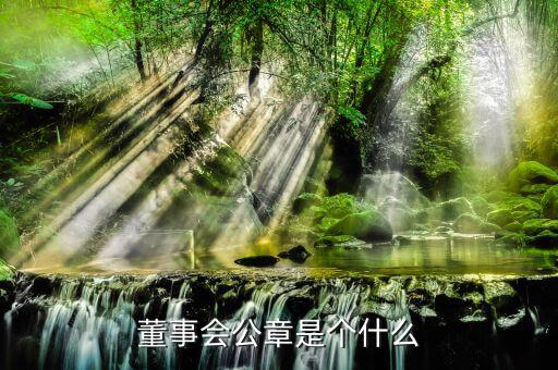 什么是董事會(huì)印章，完美國(guó)際魔方董事會(huì)印章有什么用
