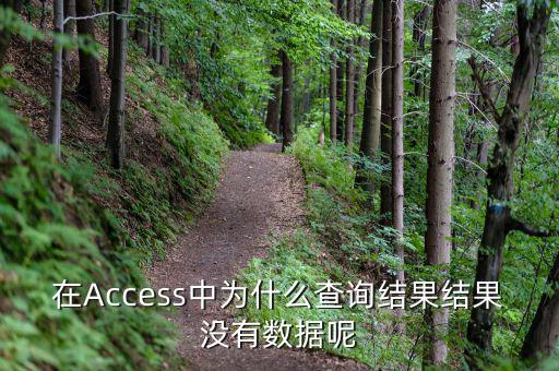 832494為什么沒有數(shù)據(jù)，在Access中為什么查詢結(jié)果結(jié)果沒有數(shù)據(jù)呢