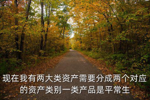現(xiàn)在我有兩大類資產(chǎn)需要分成兩個對應(yīng)的資產(chǎn)類別一類產(chǎn)品是平常生