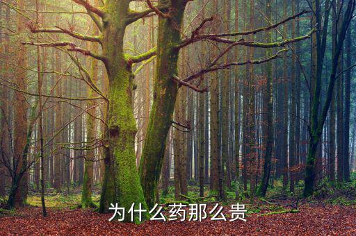 為什么藥價那么貴，醫(yī)藥費(fèi)為什么那么貴