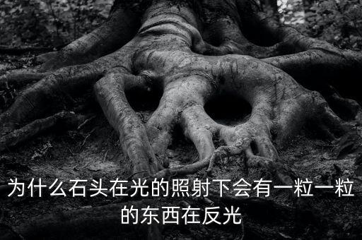 中金星石為什么這么差，為什么石頭在光的照射下會有一粒一粒的東西在反光