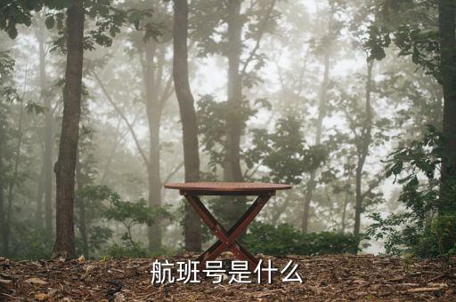 航班號ms什么，MS是什么航空