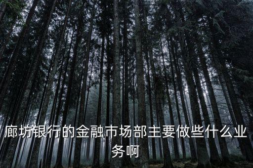 齊飛金融主營(yíng)什么業(yè)務(wù)，堅(jiān)固金融都有什么業(yè)務(wù)實(shí)力怎么樣