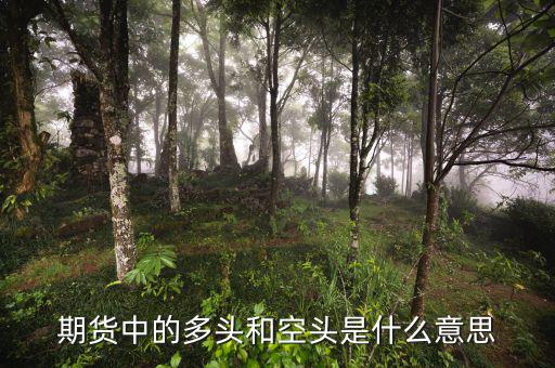 離岸空頭是什么，期貨中的多頭和空頭是什么意思