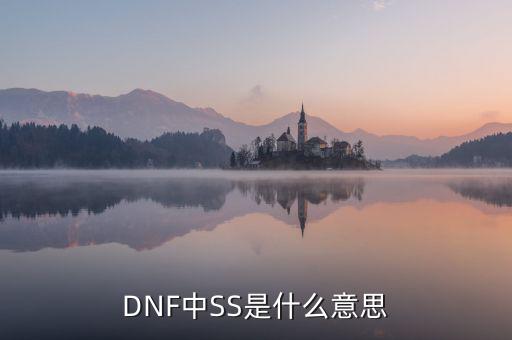 ngbss是什么，DNF武器cc和ss是指什么請(qǐng)?jiān)敿?xì)解釋