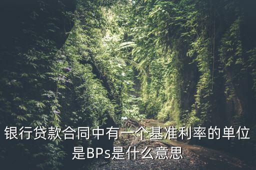 利率bps是什么意思，BPS是什么