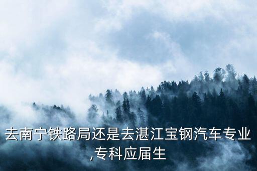 去南寧鐵路局還是去湛江寶鋼汽車專業(yè),?？茟?yīng)屆生