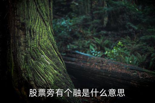 融買融賣是什么意思，股票旁有個融是什么意思