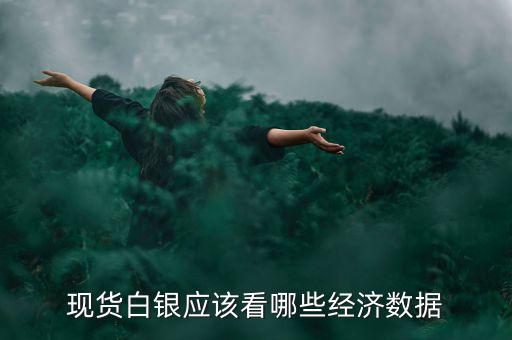 白銀價(jià)格和什么數(shù)據(jù)有關(guān)，現(xiàn)貨白銀應(yīng)該看哪些經(jīng)濟(jì)數(shù)據(jù)