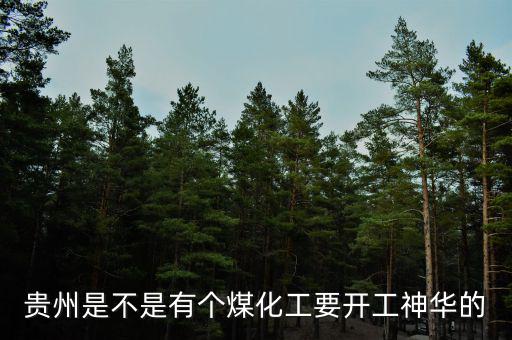 深圳尚榮在貴州有什么項(xiàng)目，深圳市尚榮醫(yī)療股份有限公司的介紹