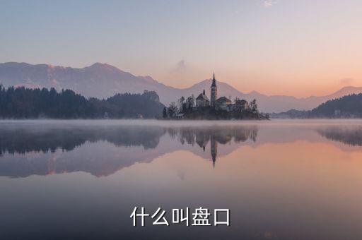 大盤口什么意思，大盤中的盤口是什么意思啊