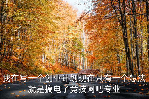 我在寫一個(gè)創(chuàng)業(yè)計(jì)劃現(xiàn)在只有一個(gè)想法就是搞電子競(jìng)技網(wǎng)吧專業(yè)