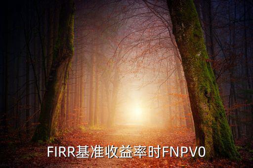 收益率什么時(shí)候?yàn)檎現(xiàn)IRR基準(zhǔn)收益率時(shí)FNPV0