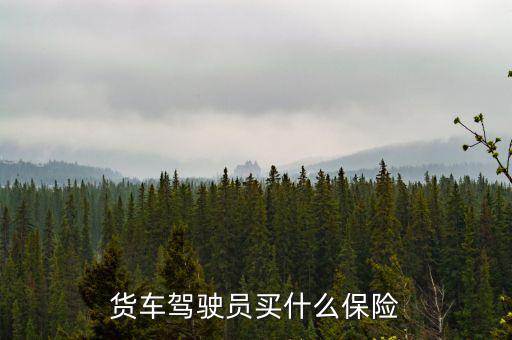 貨車司機(jī)買什么保險好，大貨車買什么保險最好