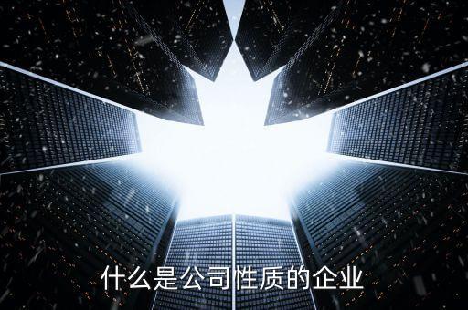 中期集團是什么性質的企業(yè)，集團是什么性質的公司
