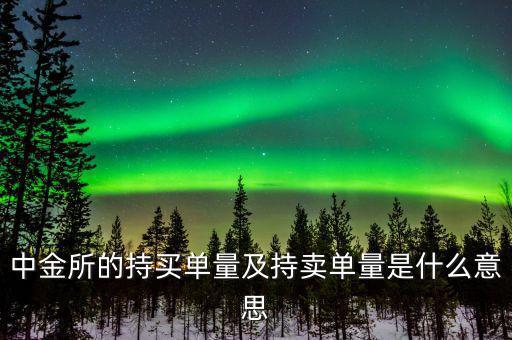 持買單量是什么意思，持賣單什么意思