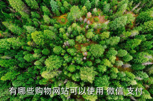 美麗說怎么用微信支付,家樂福全國門店均已聯(lián)網微信支付