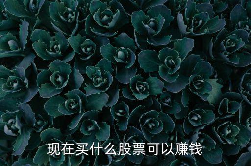 今年買什么股票可以賺錢，現(xiàn)在買什么股票可以賺錢