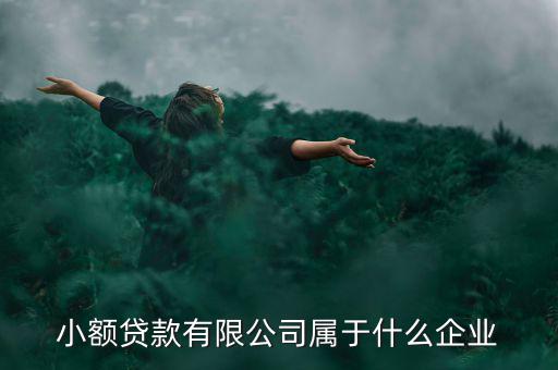 德善小額貸款是什么企業(yè)，德盛行小額貸款是不是真的