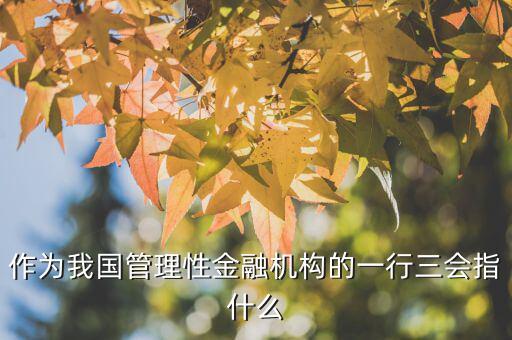 一行三會(huì)一局是指什么，作為我國管理性金融機(jī)構(gòu)的一行三會(huì)指什么