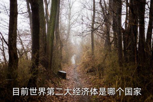 中國什么時候成為第二大經(jīng)濟(jì)體，中國成為世界第二大經(jīng)濟(jì)體是什么時候
