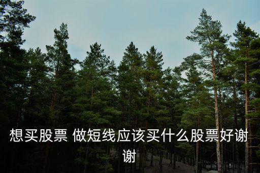 短線買什么股票好，散戶短線買哪些股票好