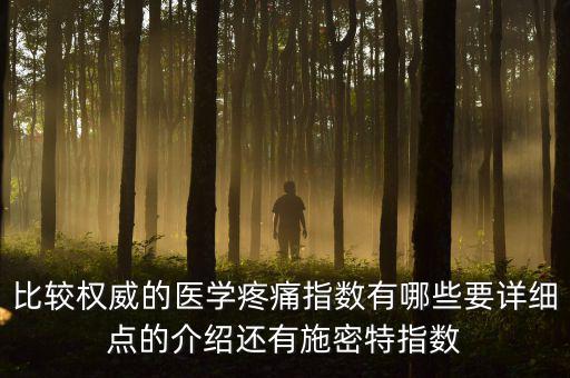比較權(quán)威的醫(yī)學(xué)疼痛指數(shù)有哪些要詳細點的介紹還有施密特指數(shù)