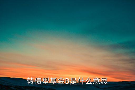 轉債型基金B(yǎng)是什么意思