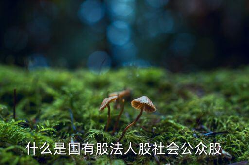 什么情況叫公眾持股，股份制上市企業(yè)誰能幫我解釋一下它是公企還是私企