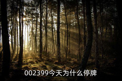 大連友誼為什么停牌，002399今天為什么停牌