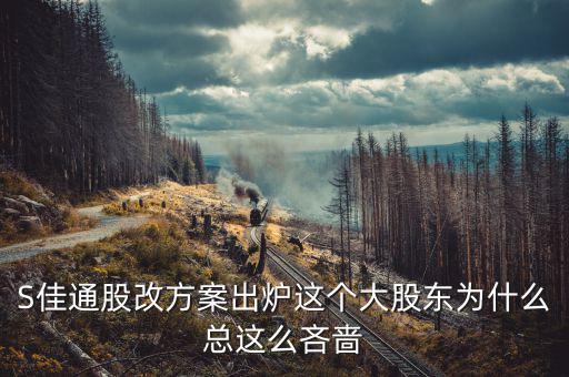 s佳通為什么不股改，s佳通的流通股這么少為什么不股改全流通