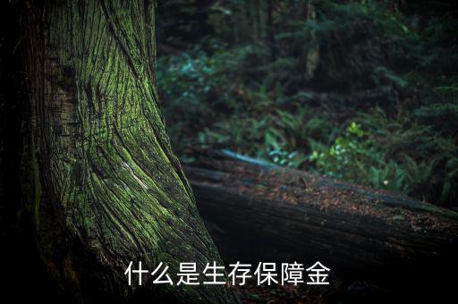 什么是生存保險金，什么是生存保障金