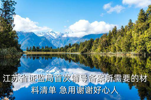 輔導(dǎo)備案登記受理是什么階段，我想問一下辦一般納稅人申請后我們的輔導(dǎo)期是當(dāng)月 15小