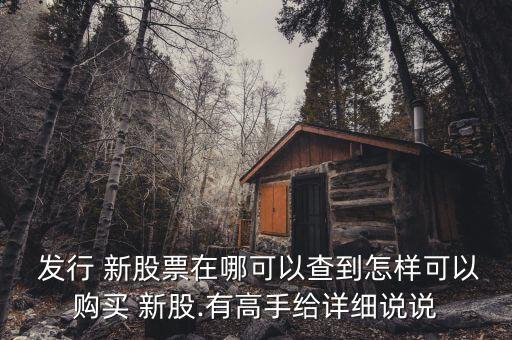  發(fā)行 新股票在哪可以查到怎樣可以購買 新股.有高手給詳細說說