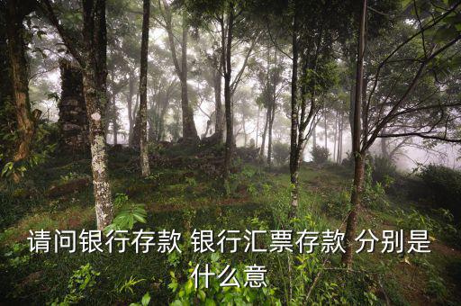 請(qǐng)問銀行存款 銀行匯票存款 分別是什么意