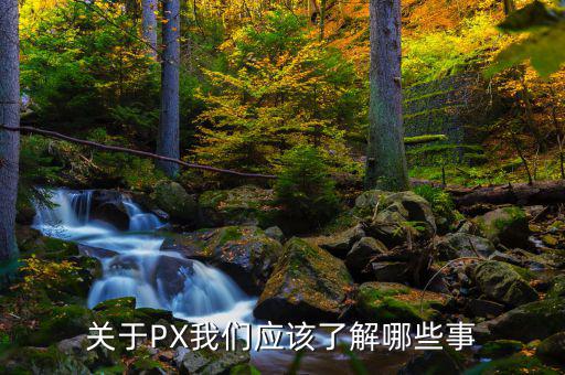 px項(xiàng)目是干什么的，關(guān)于PX我們應(yīng)該了解哪些事