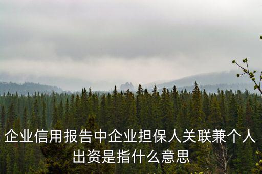擔(dān)保人關(guān)聯(lián)是什么意思，企業(yè)征信中 擔(dān)保人關(guān)聯(lián)是什么意思
